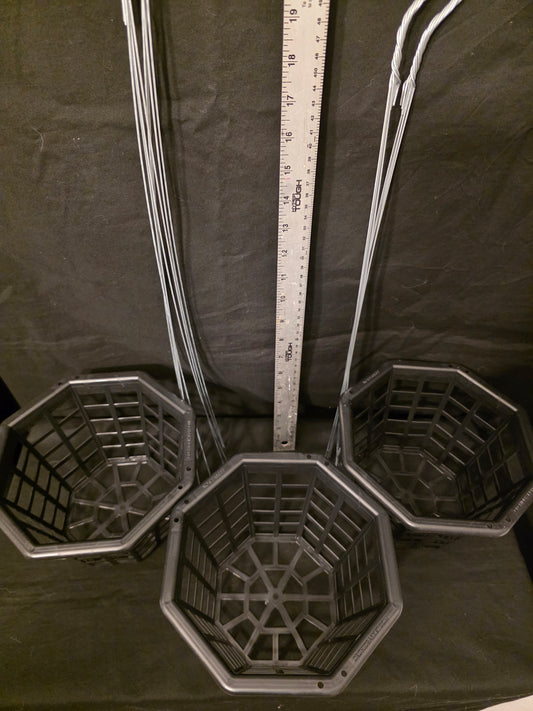 8" hanging Orchid basket (hanger sold seperate)